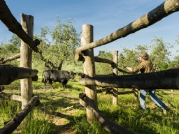 Realizzazione Siti Internet - Fattoria Villa Spoiano